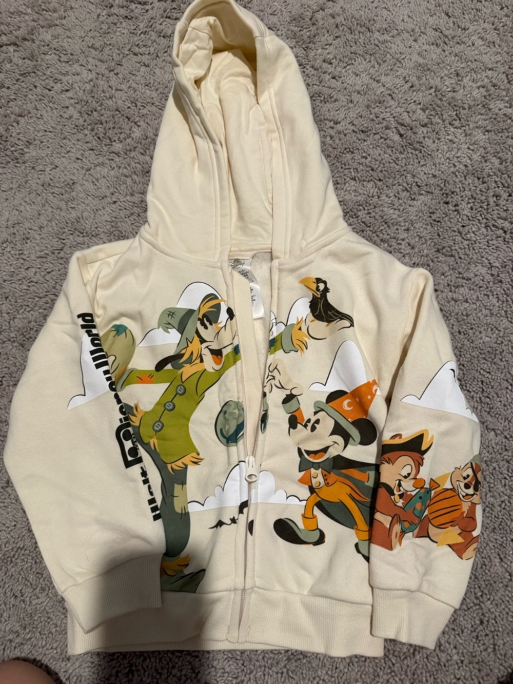 WALT Disney World Fall Zip-Up Hoodie